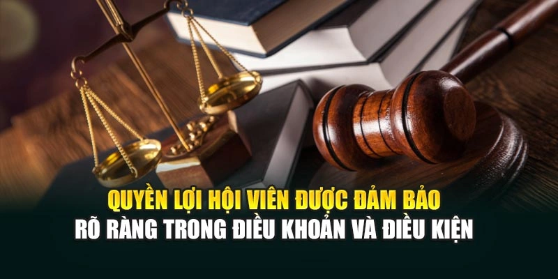 Quyền lợi hội viên được đảm bảo rõ ràng trong điều khoản và điều kiện
