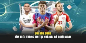 Soi Kèo Bóng - Tìm Hiểu Thông Tin Tại Nhà Cái Cá Cược 8DAY